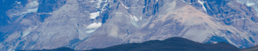 1 1