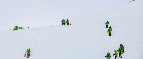 IMG_1509 IMG_1509